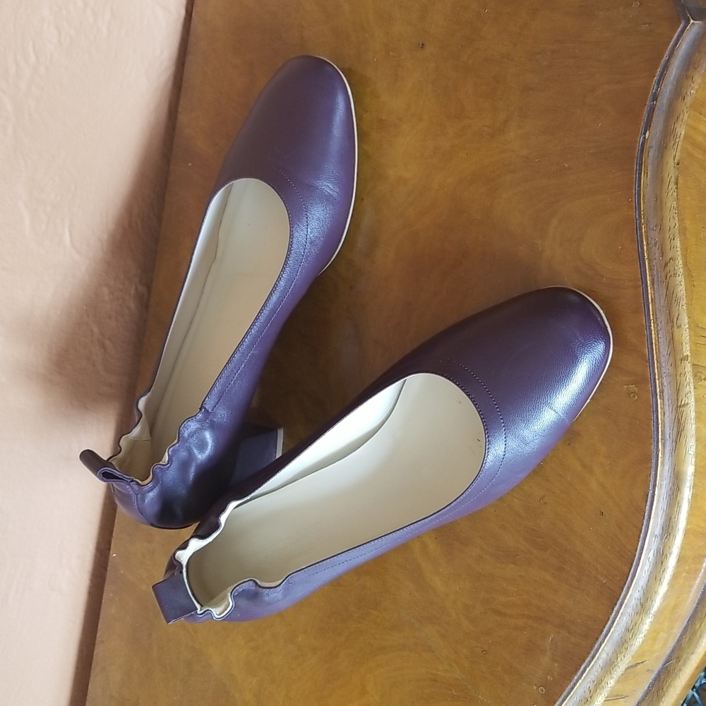 Elegant Purple Women's Shoes